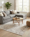 Aegean Elegance Collection Area Rug -  Paros Rectangle Gray  lifestyle 29
