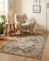 Gobi Sands Collection Area Rug -  Taklamakan Rectangle Beige  lifestyle 4