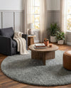 Cozy Comfort Shag Collection Area Rug - Haven (Cloud Gray) Round Cloud Gray  lifestyle 42