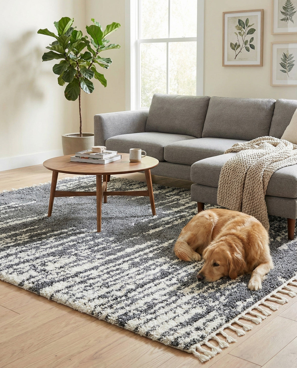 Tranquil Tides Shag Collection Area Rug - Marina Square Gray  lifestyle 119