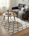 Lattice Gardens Collection Area Rug -  Bloomfield (Beige and Gray) Rectangle Beige and Gray  lifestyle 16
