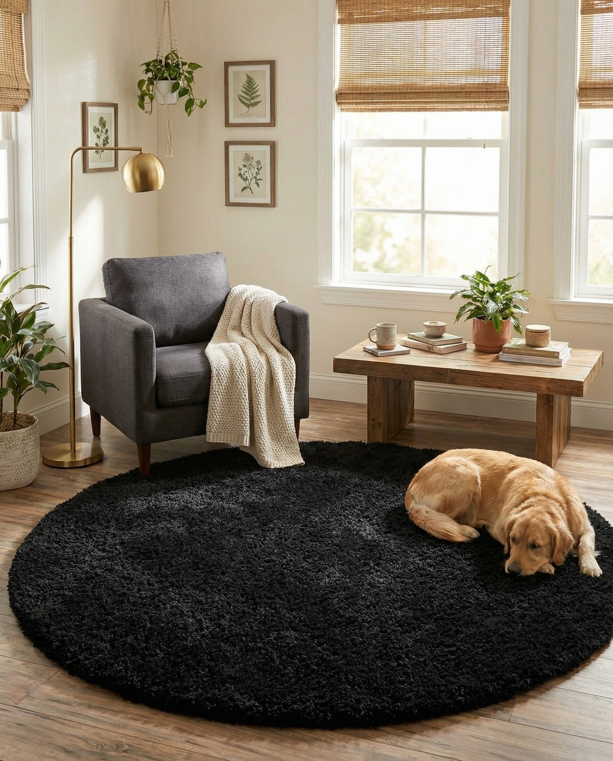 Plush Oasis Collection Area Rug - Serenity (Jet Black) Round Jet Black  lifestyle 46