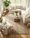 Plush Oasis Collection Area Rug - Serenity (Taupe) Rectangle Taupe  lifestyle 25