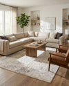 Aegean Elegance Collection Area Rug -  Paros Rectangle Gray  lifestyle 9