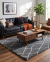 Cozy Haven Shag Collection Area Rug - Serenity (Pebble Gray) Rectangle Pebble Gray  lifestyle 6