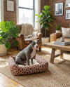 Luxury Pet Lounge Collection Pet Bed -  Retreat Rectangle Multi  lifestyle 3
