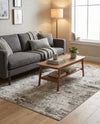 Luminara Sands Collection Area Rug - Elysium (Stone Gray) Rectangle Stone Gray  lifestyle 24