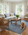 Seaside Serenity Collection Area Rug - Veranda (Blue) Rectangle Blue  lifestyle 39