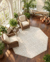Andes Summit Collection Area Rug -  Pichincha Octagon Snow White  lifestyle 53
