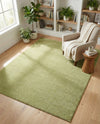 Solid Shag Seaside Collection Area Rug - Azure Cove (Light Green) Rectangle Light Green  lifestyle 8