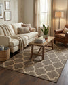 Sahara Sands Collection Area Rug -  Dahshur Rectangle Brown  lifestyle 16
