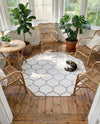 Trellis Mosaic Collection Area Rug -  Pergolatown (Ivory) Octagon Ivory  lifestyle 73