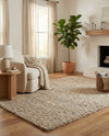 Wellington Luxe Shag Collection Area Rug - Kapiti Rectangle Taupe  lifestyle 43