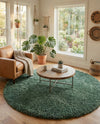 Eternal Plush Oasis Collection Area Rug -  Tranquility (Forest Green) Round Forest Green  lifestyle 68