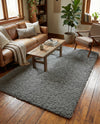 Solid Shag Seaside Collection Area Rug - Azure Cove (Gray) Rectangle Gray  lifestyle 17