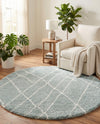 Cozy Haven Shag Collection Area Rug - Serenity (Sage Green) Round Sage Green  lifestyle 63