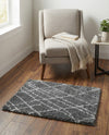 Cozy Haven Shag Collection Area Rug - Serenity (Pebble Gray) Rectangle Pebble Gray  lifestyle 12