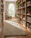 Alpine Plush Collection Area Rug -  Cortina (Linen) Runner Linen  lifestyle 61