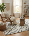 Cozy Cove Shag Collection Area Rug -  Dunes Rectangle Ivory  lifestyle 29