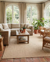 Sahara Sands Collection Area Rug -  Rosetta Rectangle Natural  lifestyle 12
