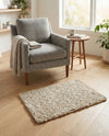 Wellington Luxe Shag Collection Area Rug - Kapiti Rectangle Taupe  lifestyle 40