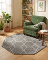 Trellis Mosaic Collection Area Rug - Arborville (Light Gray) Octagon Light Gray  lifestyle 79