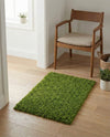 Plush Oasis Collection Area Rug - Serenity (Grass Green) Rectangle Grass Green  lifestyle 18