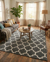 Lattice Gardens Collection Area Rug -  Bloomfield (Black) Rectangle Black  lifestyle 26