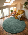 Eternal Plush Oasis Collection Area Rug -  Tranquility (Forest Green) Round Forest Green  lifestyle 74
