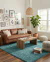 Cozy Comfort Shag Collection Area Rug - Haven (Turquoise) Rectangle Turquoise  lifestyle 26