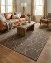 Sahara Sands Collection Area Rug -  Faiyum Rectangle Brown  lifestyle 16
