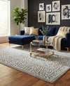 Savannah Sojourn Collection Area Rug - Serengeti Rectangle Gray  lifestyle 58