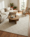 Andes Summit Collection Area Rug -  Pichincha Rectangle Snow White  lifestyle 19