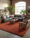 Plush Oasis Collection Area Rug - Serenity (Terracotta) Rectangle Terracotta  lifestyle 27