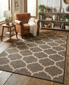 Sahara Sands Collection Area Rug -  Dahshur Rectangle Brown  lifestyle 13