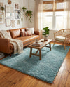 Alpine Plush Collection Area Rug -  Cortina (Aqua) Rectangle Aqua  lifestyle 11