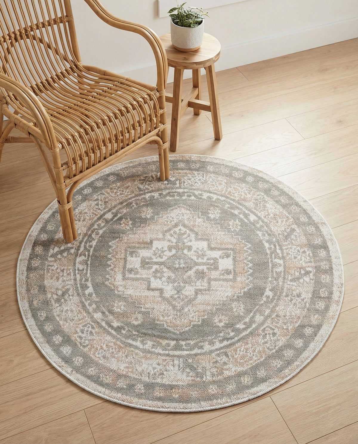 Savannah Series Collection Area Rug -  Augusta (Mink) Round Mink  lifestyle 84