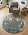 Savannah Sojourn Collection Area Rug -  Okavango Round Multi  lifestyle 73