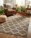 Sahara Sands Collection Area Rug -  Dahshur Rectangle Brown  lifestyle 14