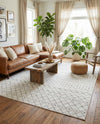Mediterranean Lattice Collection Area Rug - Santorini (Ivory and Gray) Rectangle Ivory and Gray  lifestyle 19