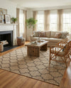 Sahara Sands Collection Area Rug -  Dahshur Rectangle Natural  lifestyle 37