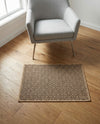 Sahara Sands Collection Area Rug -  Amarna Rectangle Natural and Brown  lifestyle 5