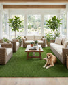 Meadow Retreat Collection Area Rug - Glen Rectangle Green  lifestyle 45