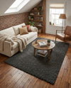 Plush Oasis Collection Area Rug - Serenity (Graphite Gray) Rectangle Graphite Gray  lifestyle 16