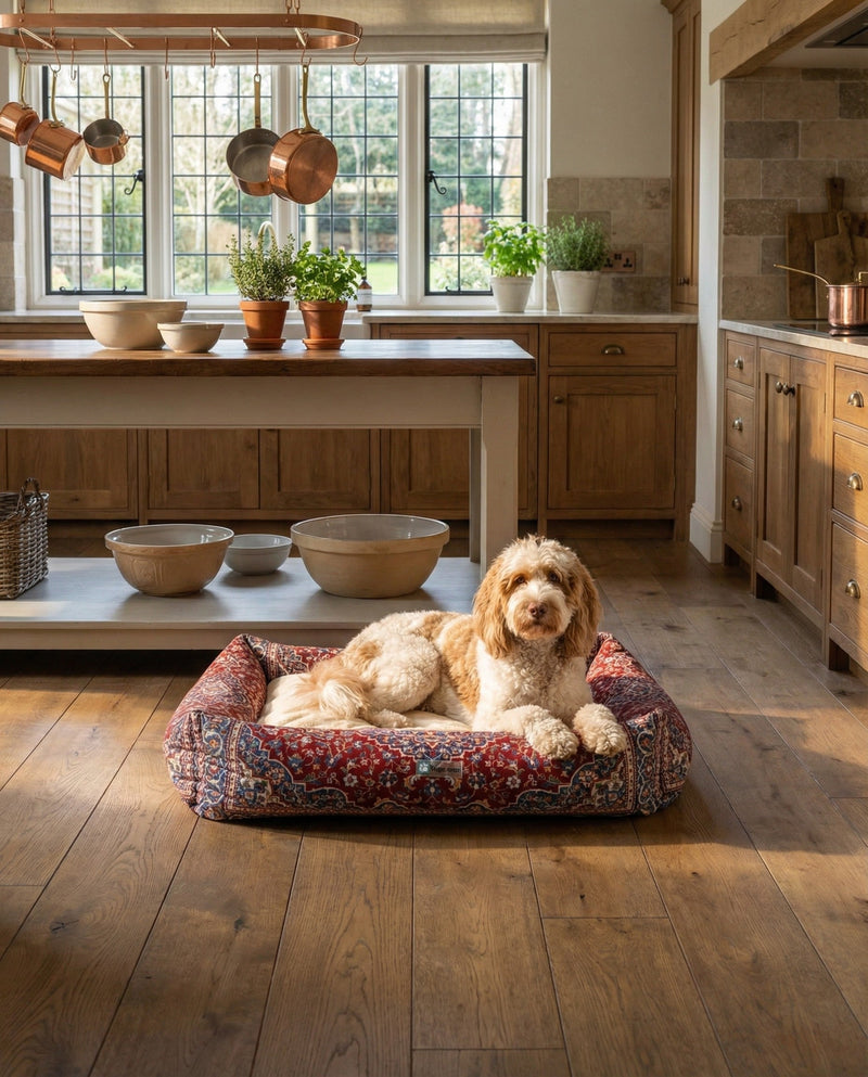 Luxury Pet Lounge Collection Pet Bed -  Sanctuary Rectangle Multi  lifestyle 4