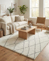 Cozy Haven Shag Collection Area Rug - Serenity (Ivory) Rectangle Ivory  lifestyle 6