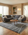 Tranquil Tides Shag Collection Area Rug -  Frost Rectangle Gray  lifestyle 25