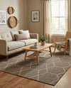 Sahara Sands Collection Area Rug -  Faiyum Rectangle Brown  lifestyle 14