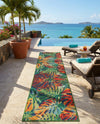 Coastal Terrace Collection Area Rug -  Pier Runner Multi  lifestyle 68