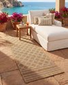Savannah Pergola Collection Area Rug - Savannah Runner Natural  lifestyle 72